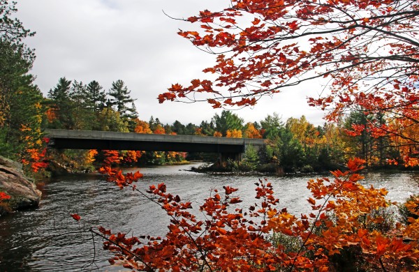 Bridge Over Carlyle Lake by Deb Oppermann